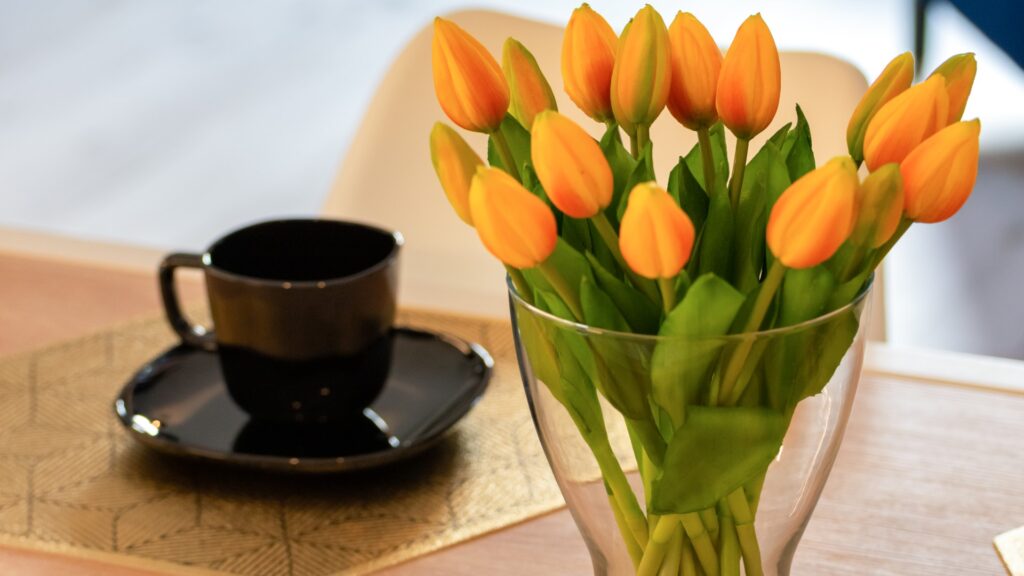 Apartament Ka-Mon w Góry - Fotografia wnętrz